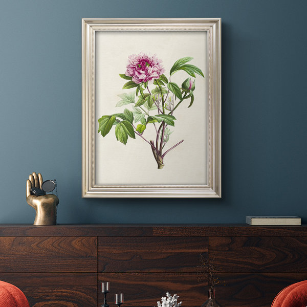 Red Barrel Studio Pretty Pink Botanicals V Framed On Canvas Print